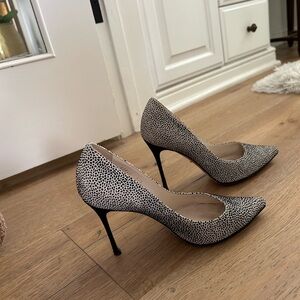 Sergio Rossi black and white stilettos.